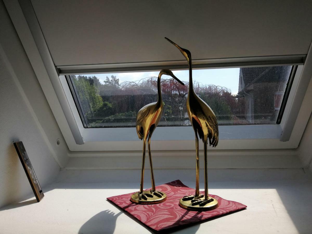 Ferienwohnung Ardea Alba Wunstorf Exterior foto